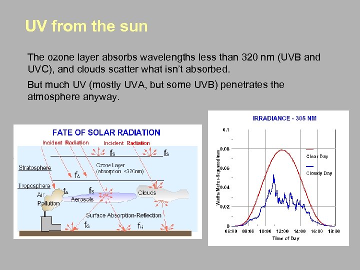 UV from the sun The ozone layer absorbs wavelengths less than 320 nm (UVB