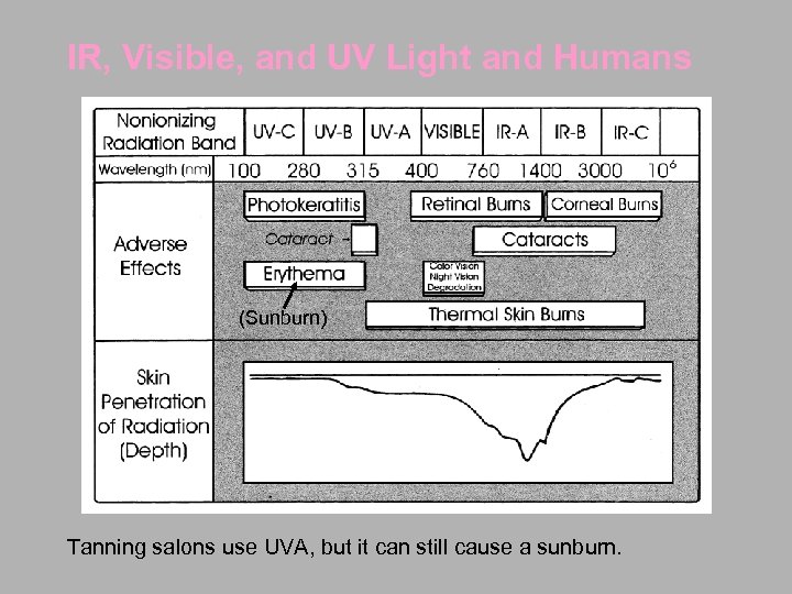 IR, Visible, and UV Light and Humans (Sunburn) Tanning salons use UVA, but it