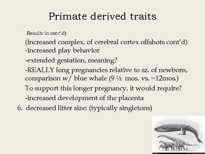 Primate derived traits • (Results in cont’d) (increased complex. of cerebral cortex offshots cont’d)