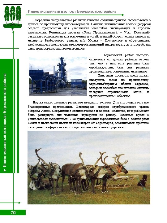 Инвестиционный паспорт Березовского района Очередным направлением развития является создание пунктов лесозаготовок с цехами по