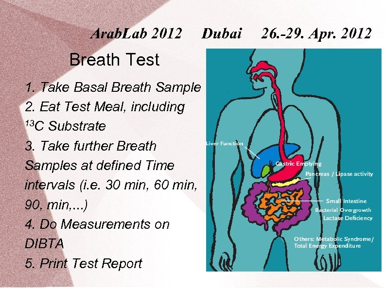Arab. Lab 2012 Breath Test 1. Take Basal Breath Sample 2. Eat Test Meal,
