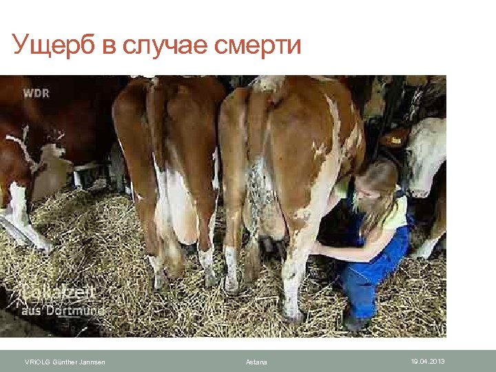  Ущерб в случае смерти VRi. OLG Günther Jannsen Astana 19. 04. 2013 
