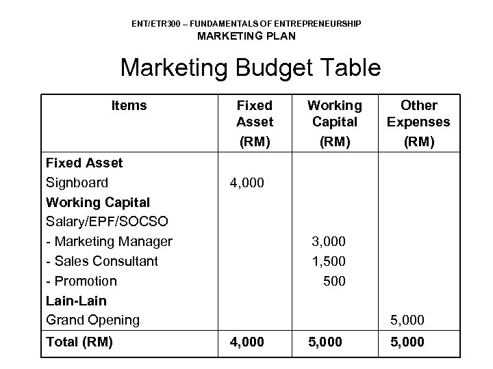 ENT/ETR 300 – FUNDAMENTALS OF ENTREPRENEURSHIP MARKETING PLAN Marketing Budget Table Items Fixed Asset