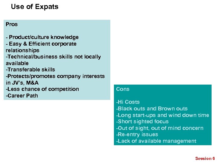 Use of Expats Pros - Product/culture knowledge - Easy & Efficient corporate relationships -Technical/business