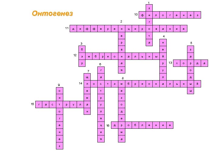1 з Онтогенез 10 ф 2 11 д и ф ф е р е