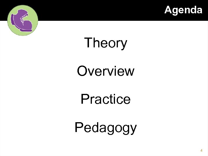 Agenda Theory Overview Practice Pedagogy 4 