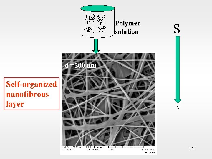 Polymer solution S d =200 nm Self-organized nanofibrous layer s 12 12 