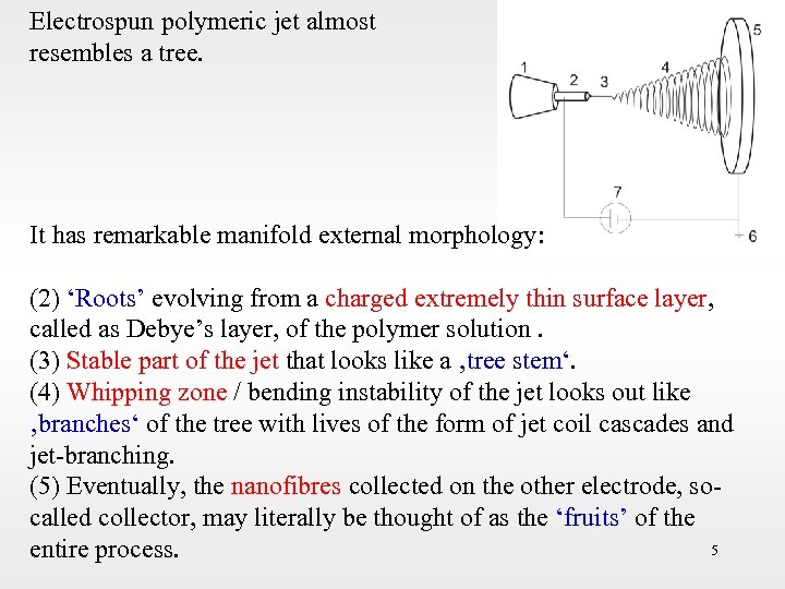 Electrospun polymeric jet almost resembles a tree. It has remarkable manifold external morphology: (2)