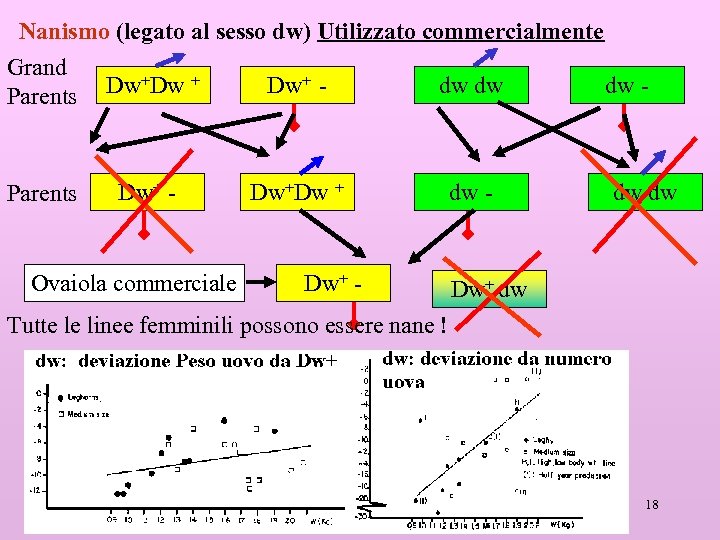 Nanismo (legato al sesso dw) Utilizzato commercialmente Grand Dw+Dw + Dw+ dw dw dw