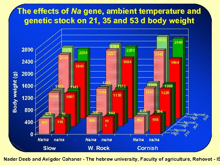 The effects of Na gene, ambient temperature and genetic stock on 21, 35 and