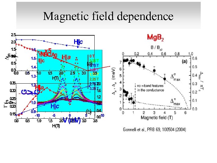 Magnetic field dependence 