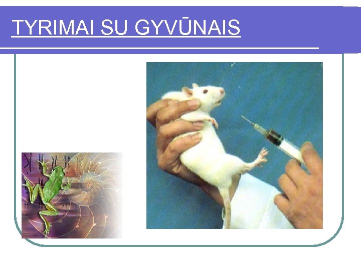 TYRIMAI SU GYVŪNAIS 