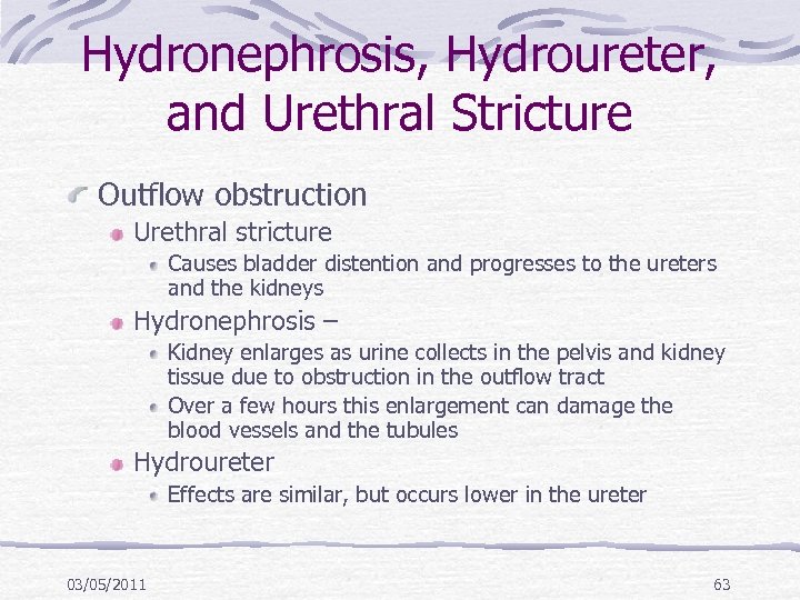 Hydronephrosis, Hydroureter, and Urethral Stricture Outflow obstruction Urethral stricture Causes bladder distention and progresses