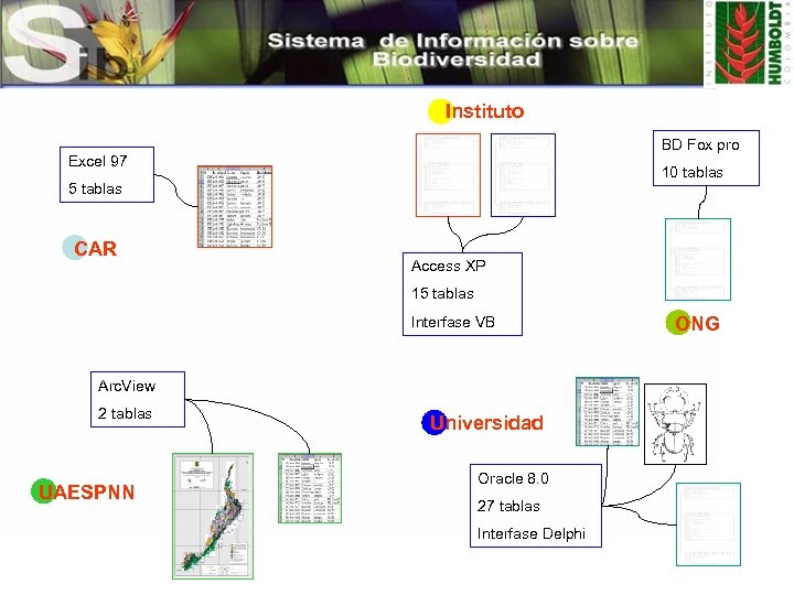Instituto BD Fox pro Excel 97 10 tablas 5 tablas CAR Access XP 15