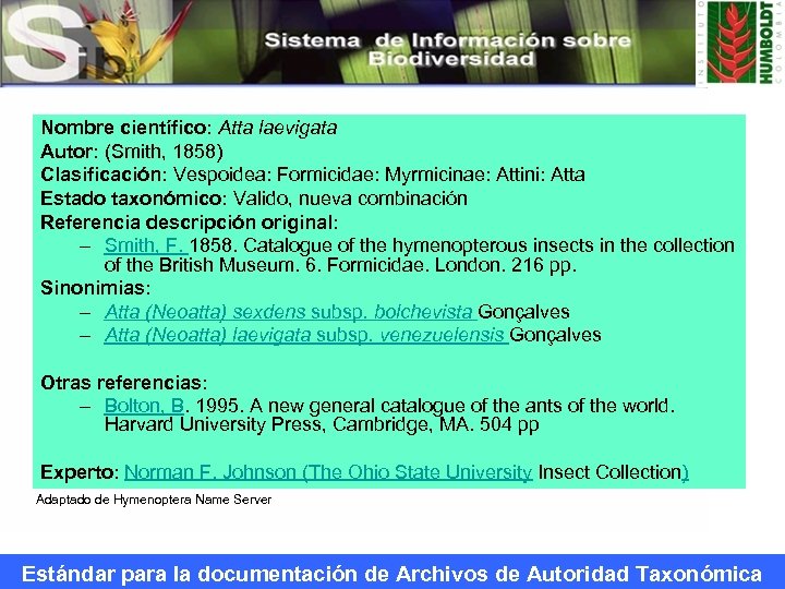 Nombre científico: Atta laevigata Autor: (Smith, 1858) Clasificación: Vespoidea: Formicidae: Myrmicinae: Attini: Atta Estado