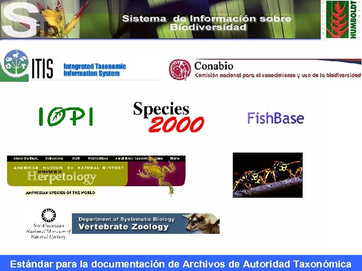 Estándar para la documentación de Archivos de Autoridad Taxonómica 