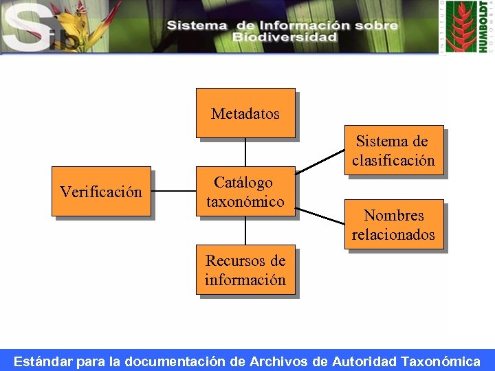 Metadatos Sistema de clasificación Verificación Catálogo taxonómico Nombres relacionados Recursos de información Estándar para