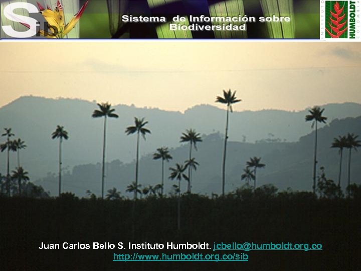 Juan Carlos Bello S. Instituto Humboldt. jcbello@humboldt. org. co http: //www. humboldt. org. co/sib