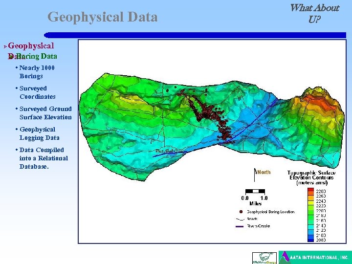 Geophysical Data Ø Geophysical Boring Data • Nearly 1000 Borings • Surveyed Coordinates •