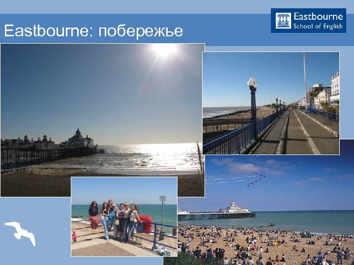 Eastbourne: побережье 