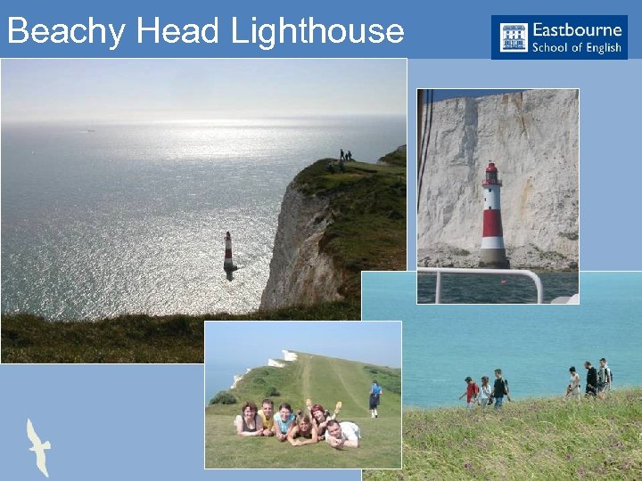 Beachy Head Lighthouse 