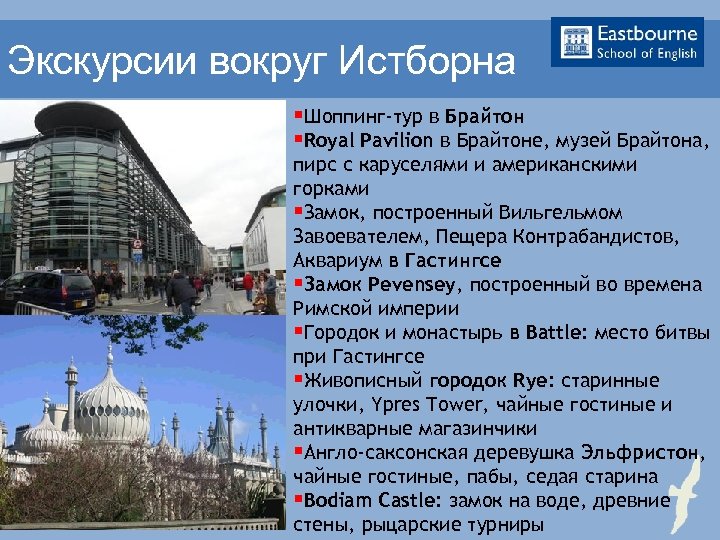 Экскурсии вокруг Истборна §Шоппинг-тур в Брайтон §Royal Pavilion в Брайтоне, музей Брайтона, пирс с