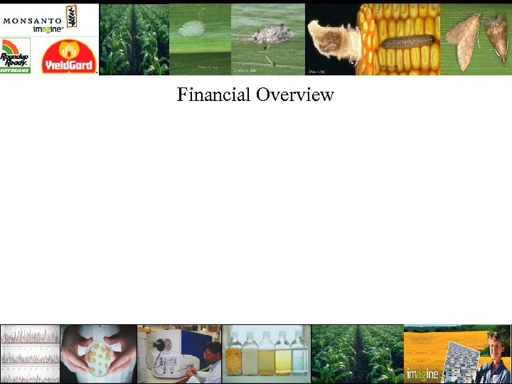 Financial Overview 