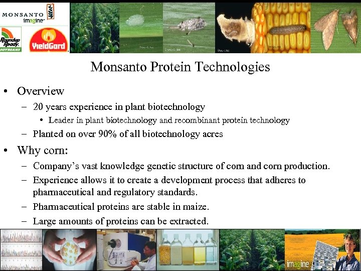 Monsanto Protein Technologies • Overview – 20 years experience in plant biotechnology • Leader