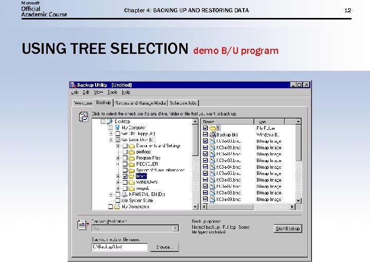 Chapter 4: BACKING UP AND RESTORING DATA USING TREE SELECTION demo B/U program 12