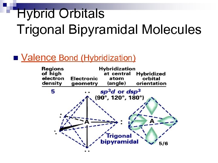Hybrid Orbitals Trigonal Bipyramidal Molecules n Valence Bond (Hybridization) 