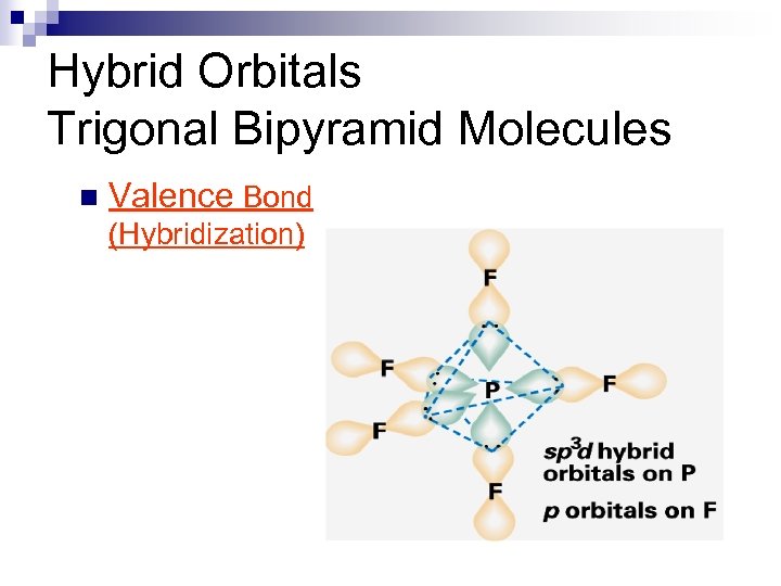 Hybrid Orbitals Trigonal Bipyramid Molecules n Valence Bond (Hybridization) 