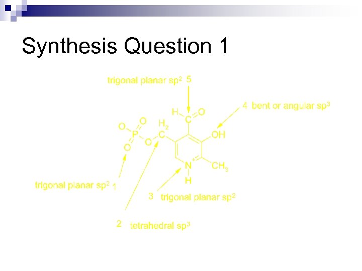 Synthesis Question 1 