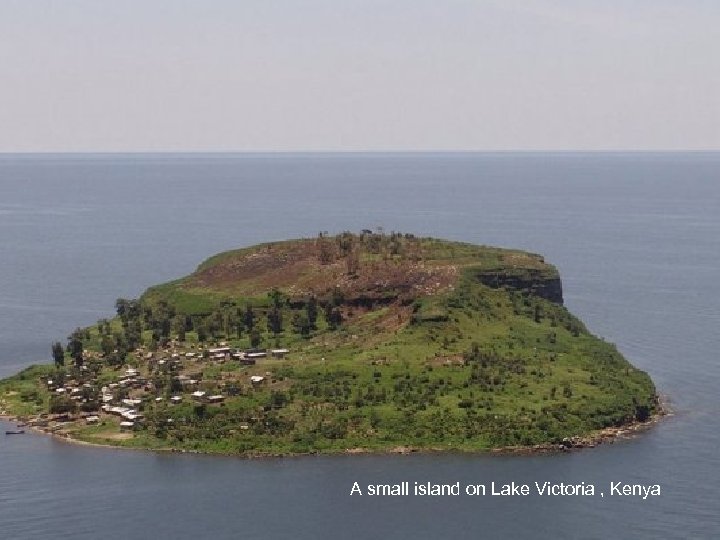 A small island on Lake Victoria , Kenya 