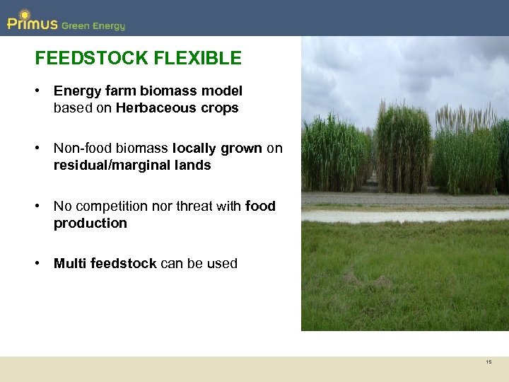 FEEDSTOCK FLEXIBLE • Energy farm biomass model based on Herbaceous crops • Non-food biomass