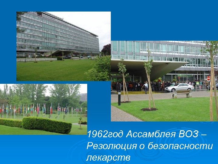 1962 год Ассамблея ВОЗ – Резолюция о безопасности лекарств 