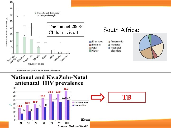 The Lancet 2003: Child survival I South Africa: TB Bloom 