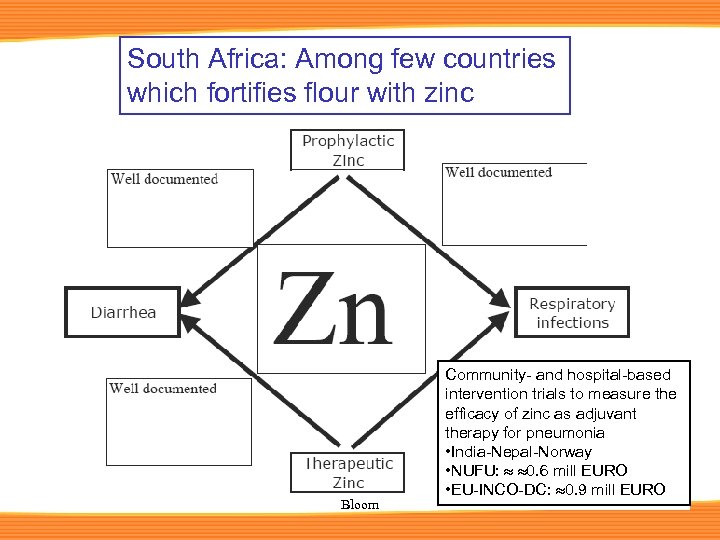 South Africa: Among few countries which fortifies flour with zinc Bloom Community- and hospital-based