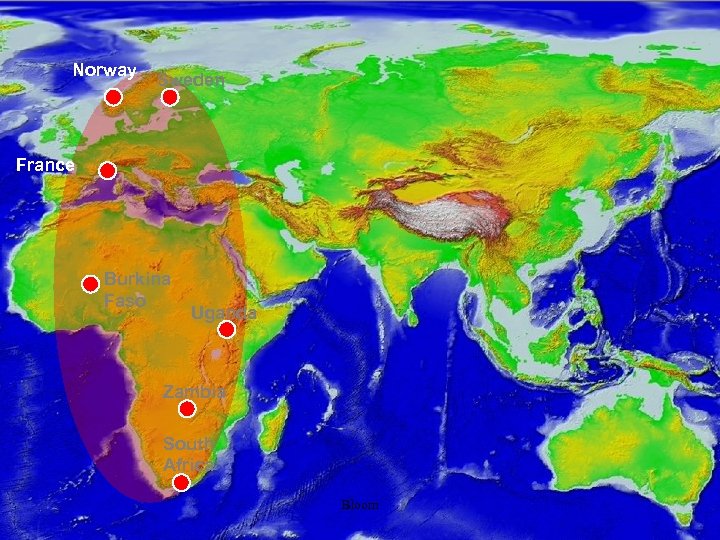 Norway Sweden France Burkina Faso Uganda Zambia South Africa Bloom 
