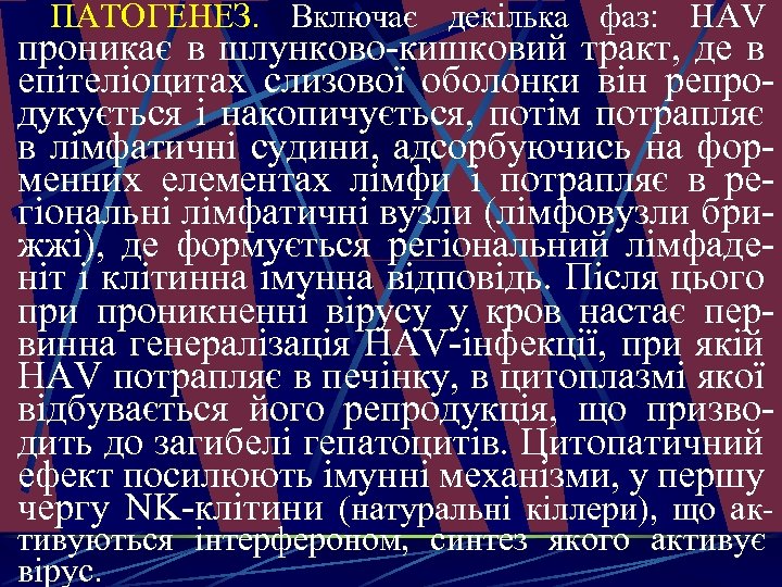  ПАТОГEНEЗ. Включає декілька фаз: HAV проникає в шлунково-кишковий тракт, де в епітеліоцитах слизової