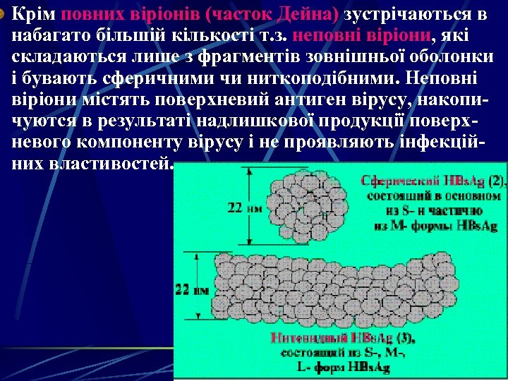 Крім повних віріонів (часток Дейна) зустрічаються в набагато більшій кількості т. з. неповні віріони,