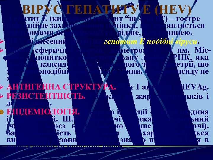 ВІРУС ГЕПАТИТУ Е (HЕV) Гепатит Е (кишковий гепатит “ні А ні В”) – гостре