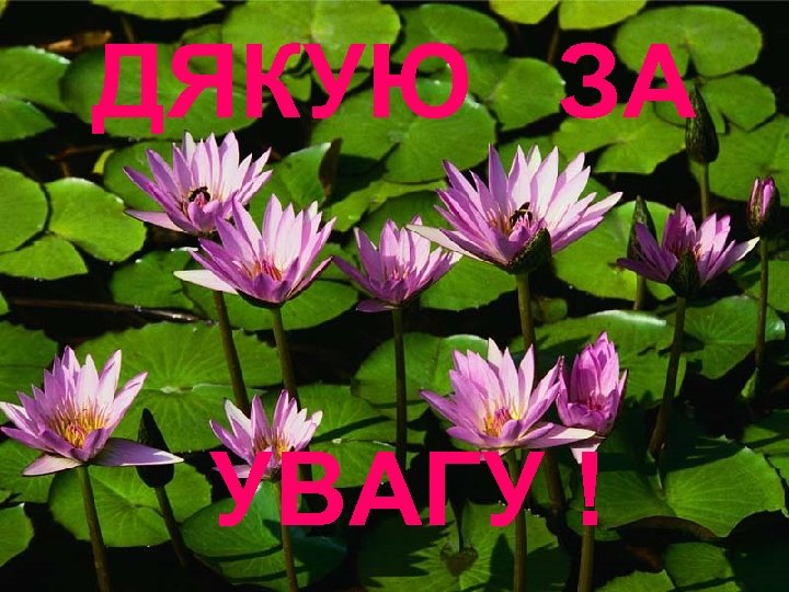 ДЯКУЮ ЗА УВАГУ ! 