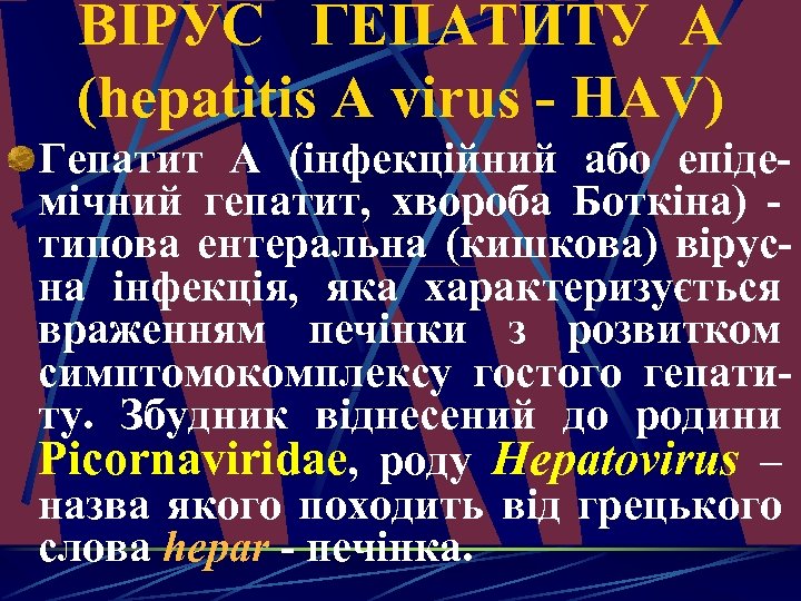 ВІРУС ГЕПАТИТУ А (hepatitis A virus - HAV) Гепатит А (інфекційний або епідемічний гепатит,