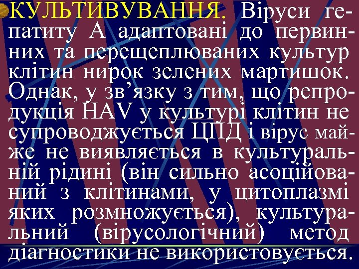 КУЛЬТИВУВАННЯ. Віруси гепатиту А адаптовані до первинних та перещеплюваних культур клітин нирок зелених мартишок.