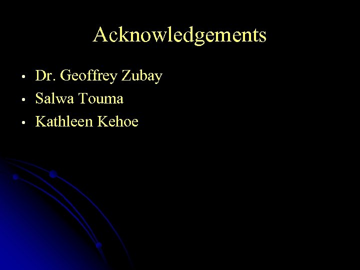 Acknowledgements • • • Dr. Geoffrey Zubay Salwa Touma Kathleen Kehoe 