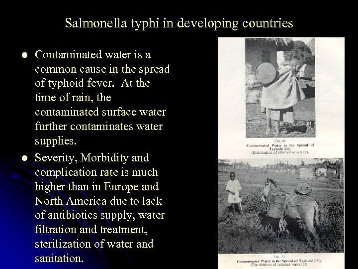 Salmonella typhi in developing countries l l Contaminated water is a common cause in