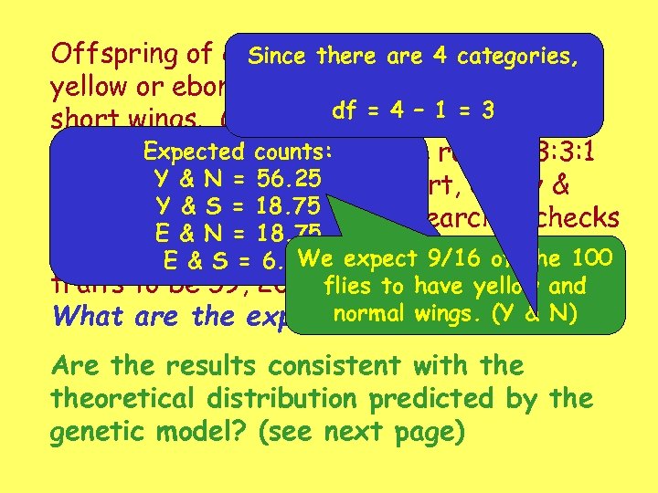 Offspring of certain there are 4 categories, Since fruit flies may have yellow or