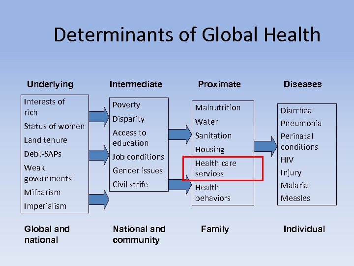 Determinants of Global Health Underlying Proximate Diseases Poverty Malnutrition Disparity Water Land tenure Access