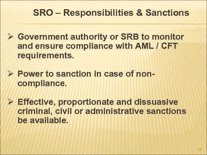 SRO – Responsibilities & Sanctions Ø Government authority or SRB to monitor and ensure