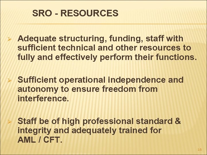 SRO - RESOURCES Ø Adequate structuring, funding, staff with sufficient technical and other resources